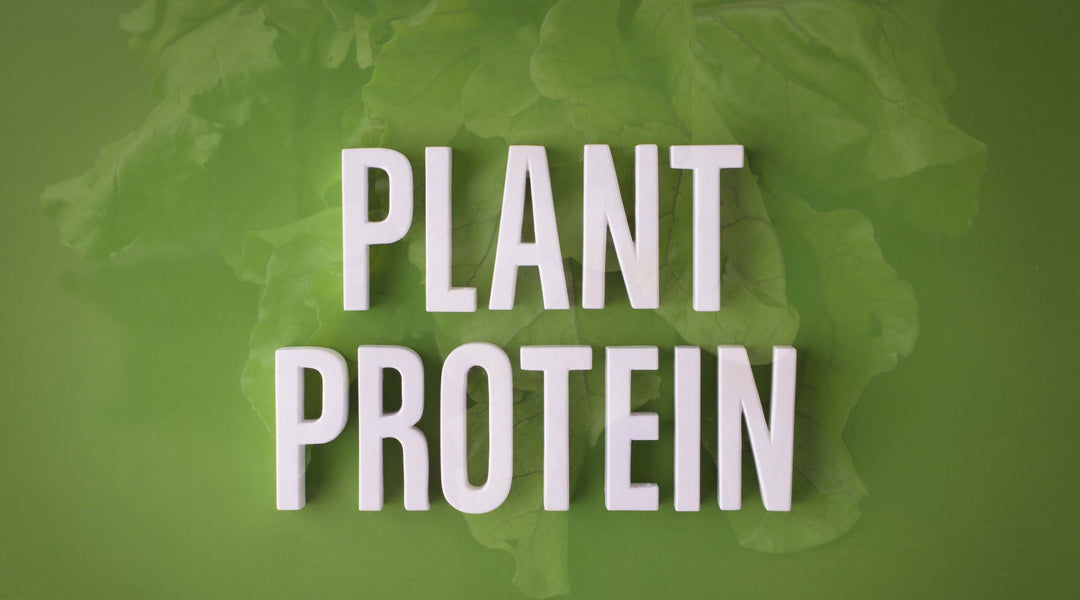 The Rise of Plant-Based Protein