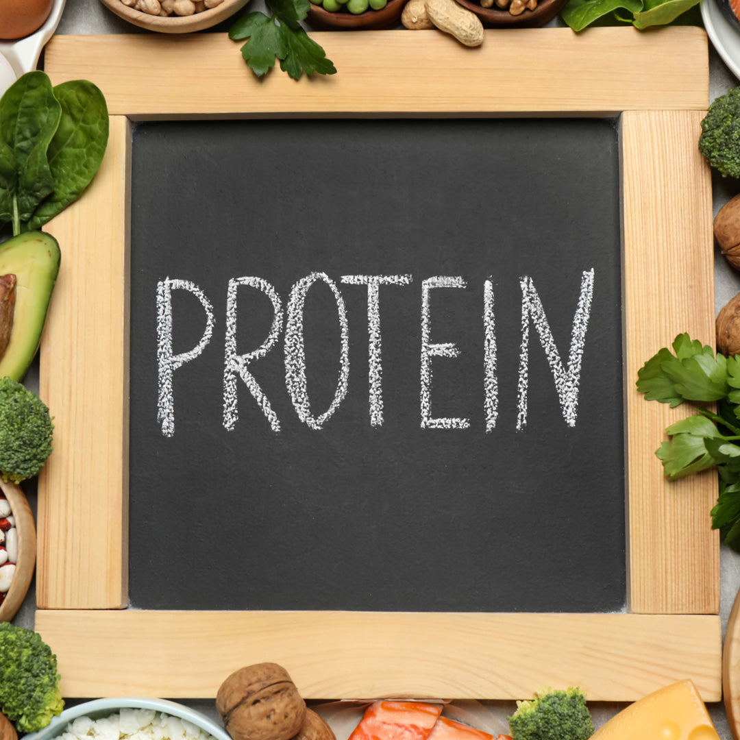 Fuel Your Body Right: The Key Role of Protein as the Most Important Macronutrient
